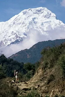 Nepalese Collection: Trekking en route to Anapurna