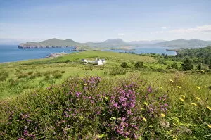 Munster Collection: Valentia Island, Ring of Kerry, County Kerry, Munster, Republic of Ireland, Europe