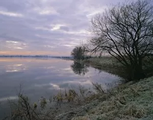 Pond Collection: Winter fenland scene, Whittlesey, near Peterborough, Cambridgeshire, England, UK, Europe
