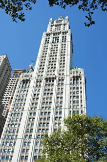 Towering Gallery: The Woolworth Building