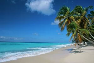 Vacationing Collection: Worthing Beach on south coast of southern parish of Christ Church, Barbados