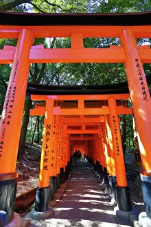 Temples Collection: Red torii gate tunnel at Fushimi Inari Shinto shrine in Kyoto, Japan