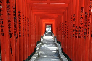Step Gallery: Red Torii Shrine Gates at Hie-Jinja Temple in Tokyo, Japan