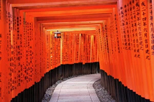 Shrine Collection: Senbon Torii, tunnels of red torii gates, at Fushimi Inari Shinto shrine in Kyoto, Japan