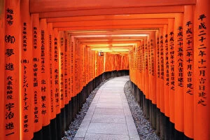 Temples Gallery: Senbon tunnel of Torii gates, Fushimi Inari shrine, Kyoto, Japan