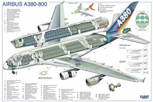 Civil Aviation 1949-Present Cutaways Gallery: Airbus A380-800 Cutaway Poster