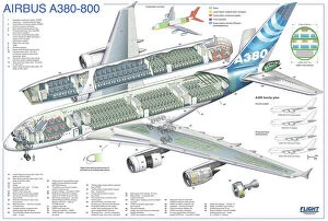 Civil Aviation 1949-Present Cutaways Gallery: Airbus A380-800 Cutaway Poster