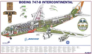 <b class=qtipBold><figcaption>Boeing 747-8 Cutaway</figcaption></b><br><em>© Flightglobal.com</em> Boeing 747-8 Cutaway