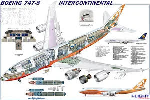 <b class=qtipBold><figcaption>Boeing 747-8 Cutaway Poster</figcaption></b><br><em>© Flightglobal</em> Boeing 747-8 Cutaway Poster