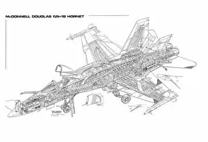 Military Aviation 1946-Present Cutaways Collection: Boeing F / A-18A Hornet Cutaway Drawing
