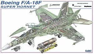 Military Aviation 1946-Present Cutaways Collection: Boeing F / A-18F Cutaway Poster