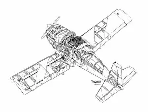 Civil Aviation 1949-Present Cutaways Gallery: Grumman American AA1 Yankee Cutaway Drawing