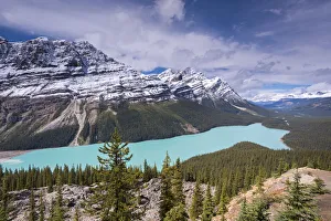 Beautiful Peyto Lake in the Canadian Rockies, Banff National Park, Alberta, Canada Beautiful Peyto Lake in the Canadian Rockies, Banff National Park, Alberta, Canada