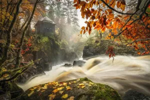 Hermitage Collection: Black Lin Falls in autumn, The Hermitage, Dunkeld, Perthshire, Scotland, UK