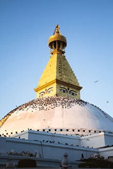 Pagoda Collection: Boudhanath stupa famous buddhist landmark in Kathmandu, Nepal