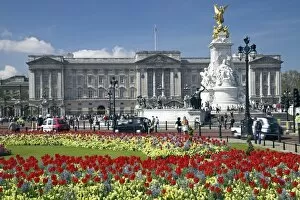 Monarchy Collection: Buckingham Palace is the official London residence