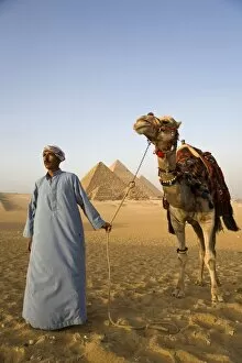 Ancient Egyptian Architecture Gallery: A camel driver stands in front of the pyramids at Giza, Egypt