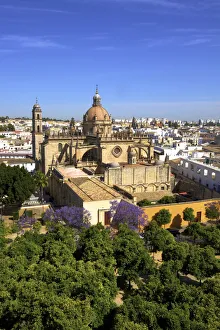 The Cathedral of San Salvador with Blossoming Jacaranda Trees, Jerez de la Frontera The Cathedral of San Salvador with Blossoming Jacaranda Trees, Jerez de la Frontera