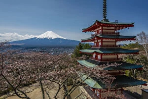 Pagoda Collection: Chureito pagoda with blooming cherry trees and Mount Fuji in the background, Fujiyoshida