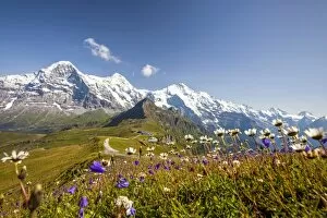 Villages Collection: Colorful flowers framing Mount Eiger Mannlichen Grindelwald Bernese Oberland Canton