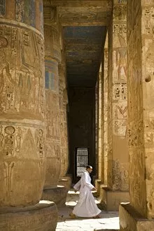 Ancient Egyptian Architecture Gallery: The colours of the original painting dating from the