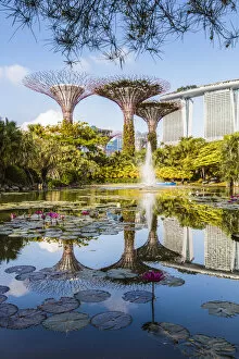 Garden Collection: The famous Supertree grove at Gardens by the Bay, Singapore