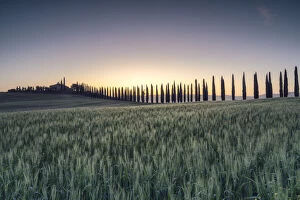Farmstead Collection: Italy, Tuscany, Val d Orcia: the first lights on Poggio Covili
