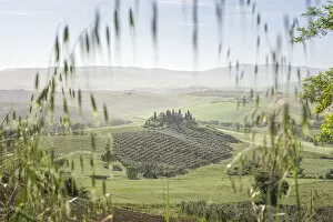 Farmstead Collection: Italy, Tuscany, Val d Orcia: Podere Belvedere at morning from a non classical spot