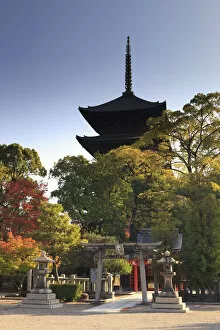 Pagoda Collection: Japan, Kyoto, Toji Temple