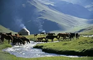 Life Style Collection: Kyrgyzstan, Tash Rabat Valley