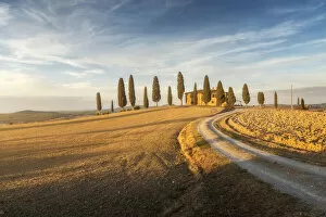 Tourist Attractions Collection: A lonely countryhouse just outside Pienza in Val d Orcia takes the last light of the day