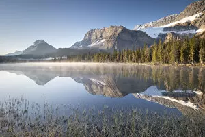 Misty morning at Bow Lake in the Canadian Rockies, Alberta, Canada