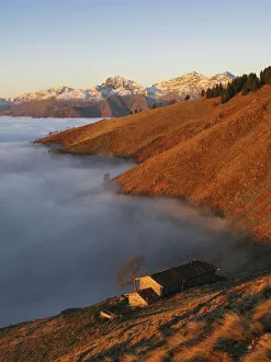 Farmstead Collection: Mountain pasture over the clouds at sunrise (Bielmonte, Veglio, Biella province, Piedmont
