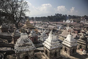 Kathmandu Valley Gallery: Nepal, Kathmandu, Pashupatinath Temple (Nepal Most important Hindu Temple)