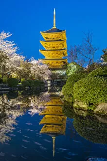 Pagoda Collection: The pagoda of Toji Temple reflected in the pond at night, Kyoto, Japan