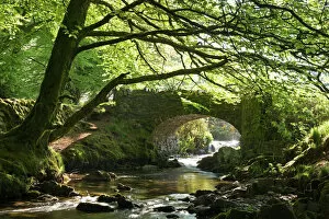 Rural Collection: Picturesque Robbers Bridge near Oare, Exmoor, Somerset, England. Spring (May)
