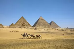 Cairo Collection: Pyramids of Giza, Giza, Cairo, Egypt
