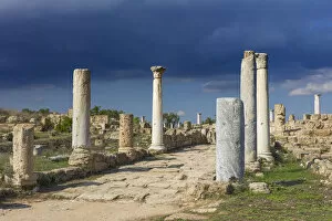 Ruins of ancient Greek city of Salamis, Northern Cyprus