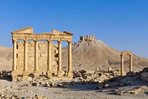 Pillars Collection: Syria, Homs Governate, Palmyra. Funerary Temple and Arab Citadel