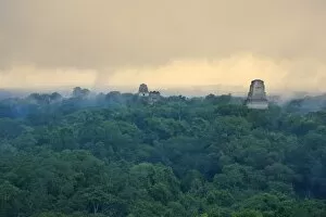 Mayan Ruins Collection: Tikal Pyramid ruins (UNESCO site) and rainforest