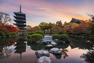 Pagoda Collection: Toji (To-ji) temple, Kyoto, Kyoto prefecture, Kansai region, Japan