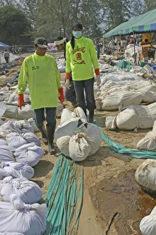Thai volunteers sought the bodies out so they can be put into body bags and then they can be taken to the morgue where Thai volunteers sought the bodies out so they can be put into body bags and then they can be taken to the morgue where