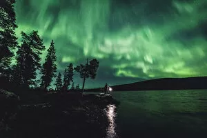 Tree Collection: The Aurora Borealis (Northern Lights) is seen in the sky in Ivalo of Lapland