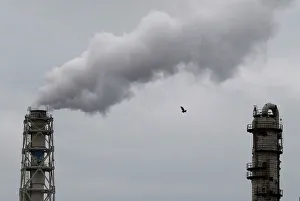 A bird flies near smoke being emitted from cement factory in an industrial area of the A bird flies near smoke being emitted from cement factory in an industrial area of the
