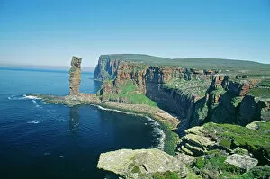Cliff Collection: Old Man of Hoy, Hoy, Orkney, Scotland, summer