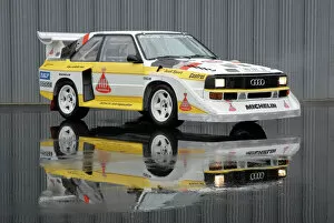 Graphic Collection: Audi Sport Quattro S1