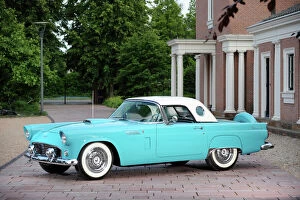 Wall Collection: Ford Thunderbird 1955 Blue & white