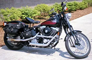 Twin Gallery: Harley Davidson Bad Boy