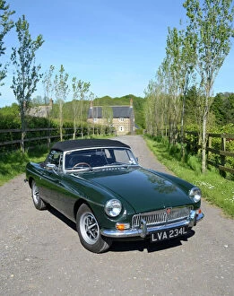 Garden Collection: MG MGB Roadster 1972 Green