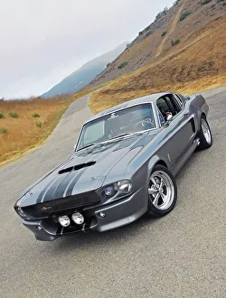 <b class=qtipBold><figcaption>Shelby Mustang GT500E Eleanor</figcaption></b><br> Shelby Mustang GT500E Eleanor